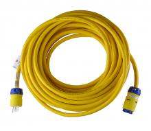 Ericson 1610CML143A - CRDST SMART MONITOR PL NEMA 5-15P 25'