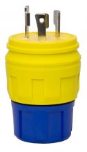 Ericson 2512-PW6P - PLG 30A 250V 2P/3W L6-30 LCK BLD SUBM