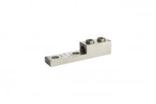 NSi Industries 1000LL2 - Nema Panel Lug 1000-500 2 Mount