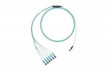 Panduit FZTRL7NQSONM008 - OM4,12-Fiber,RndHarness,LSZH,8M