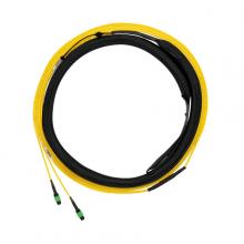 Panduit F9TYL5EL2SAM010 - OS1/OS2,12-Fiber,InSMDiaTrnk,Cbl,10M