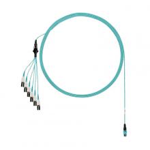 Panduit FZTRP8NUFSNF072 - OM4,12-Fiber,RndHrnss,PMPOm,1L,PLEM,72ft