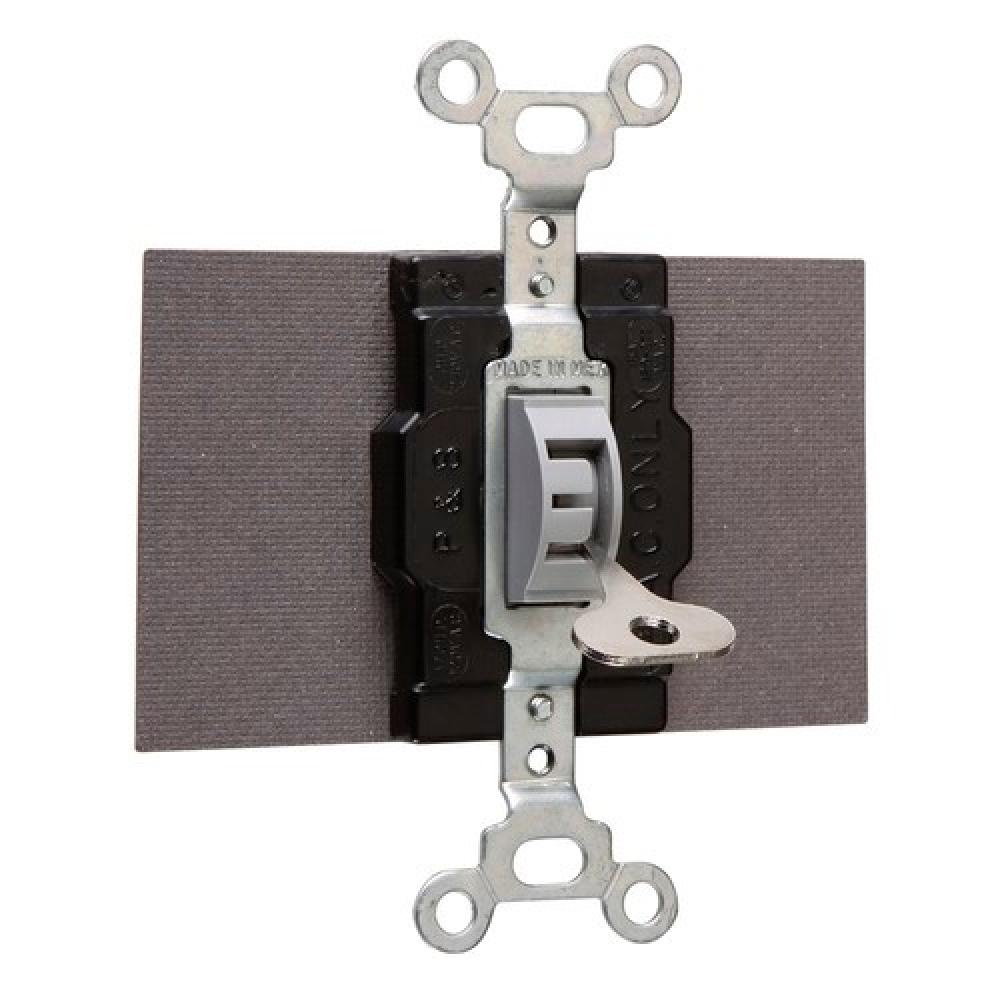 SW MAN CONTRL 15A 120/277V (DPDT) GY