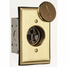 Legrand-Pass & Seymour 1542TRFBA - FLOOR BX ASSEMBLY RECEP W/BRASS PLT