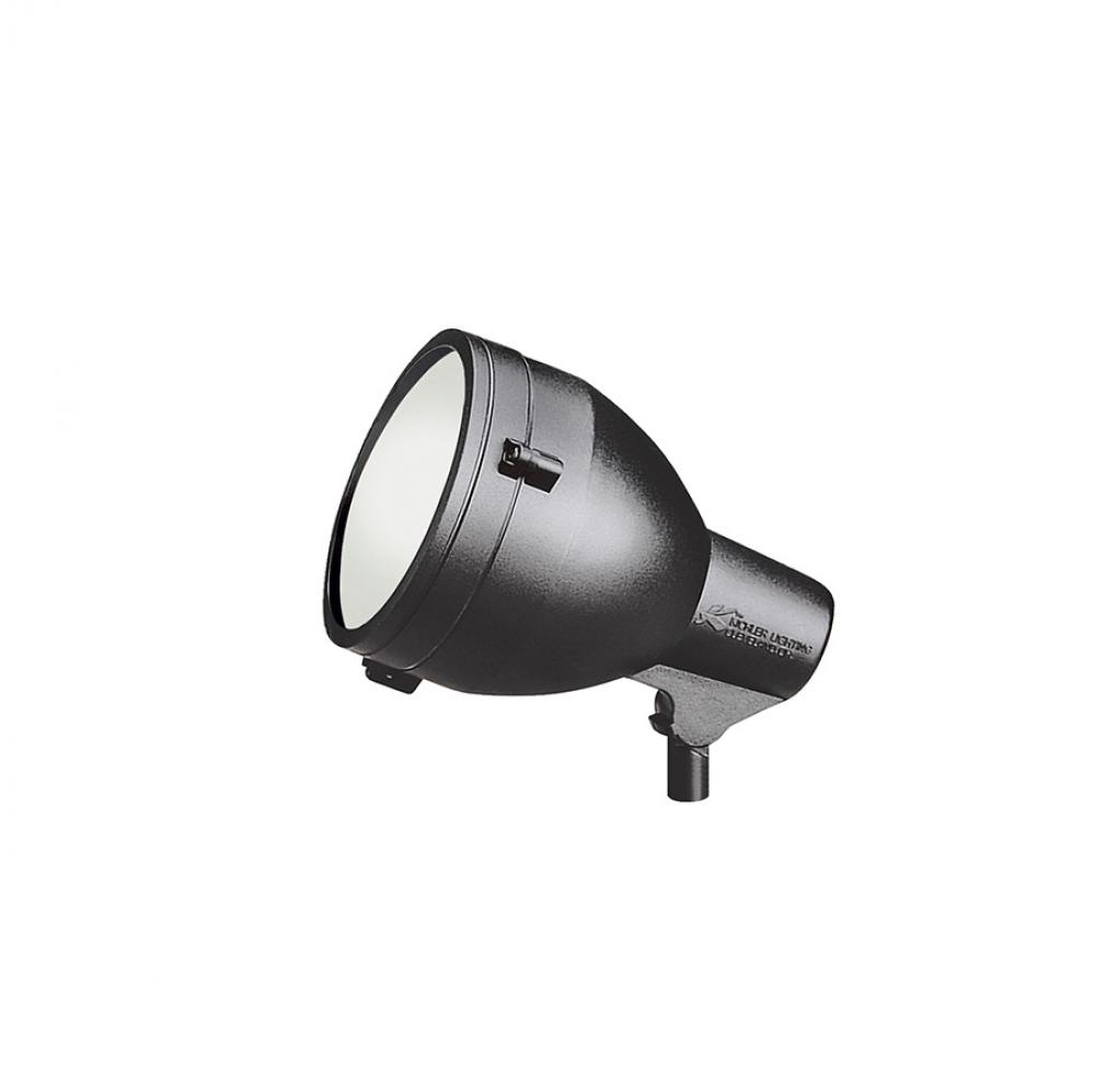 Accent 1-Lt 120V