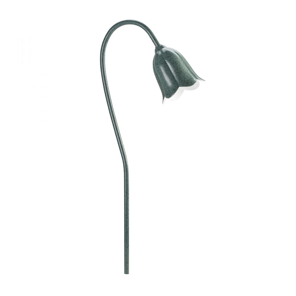 Path & Spread 1-Lt 12V
