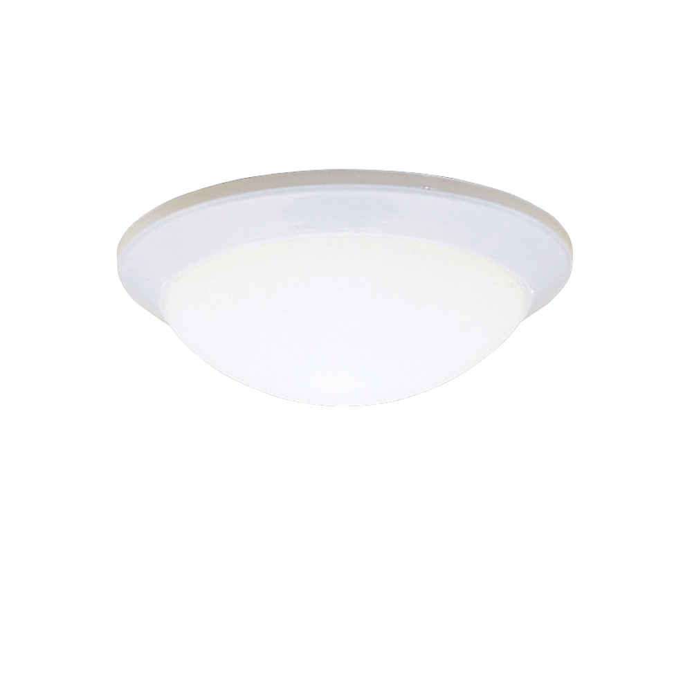 Flush Mount 1Lt