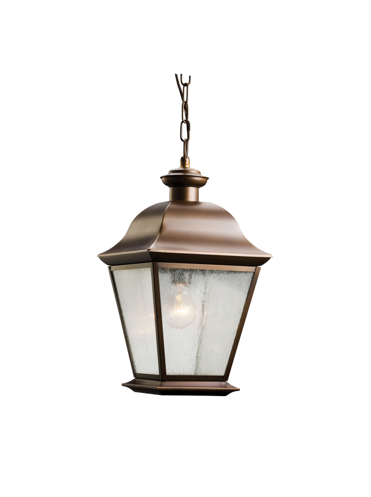 Outdoor Pendant 1Lt