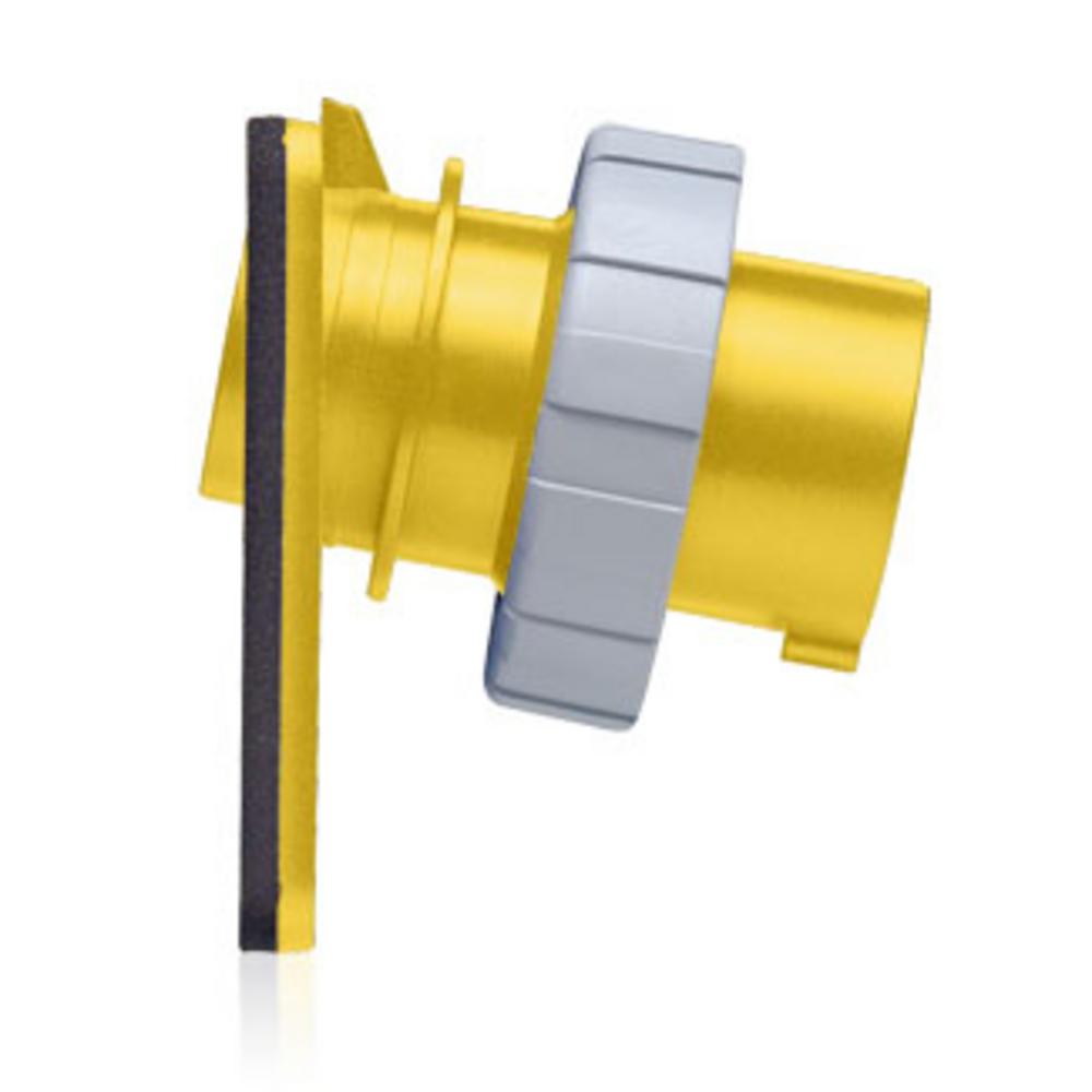 INLET WTRTIGHT P/S 2PO3WI 30A125V.