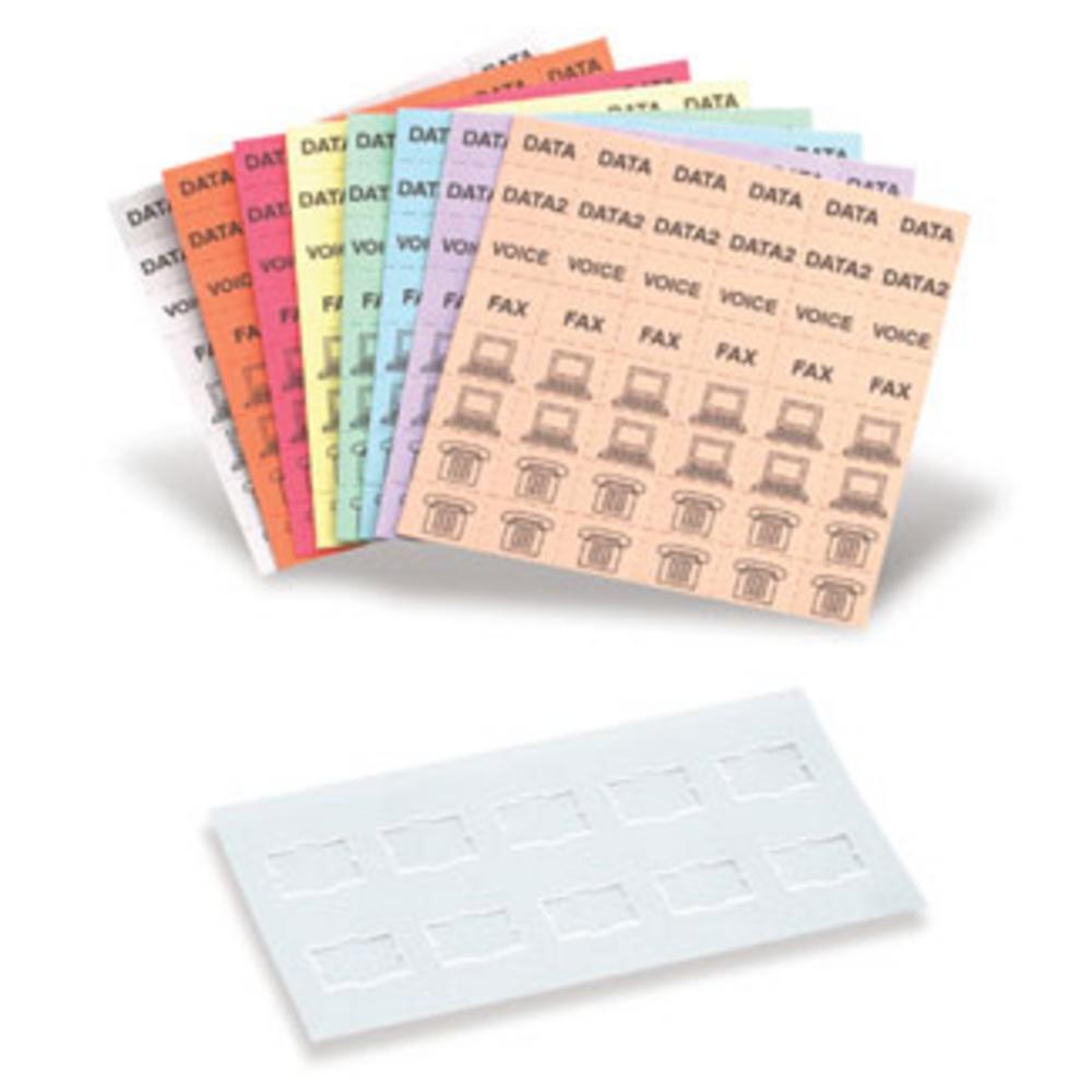 KIT COLOR LABEL