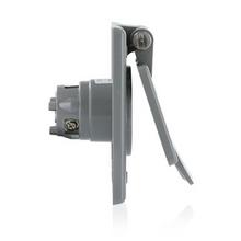 Leviton 5279-CWP - GY OUTLET FLNG/COVER WR 15A125V