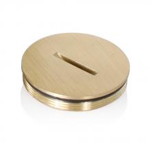 Leviton 5249-CAP - RPLCMNT O-RING