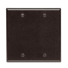 Leviton 85025 - BR WP 2G 2BLANK BOX MNT