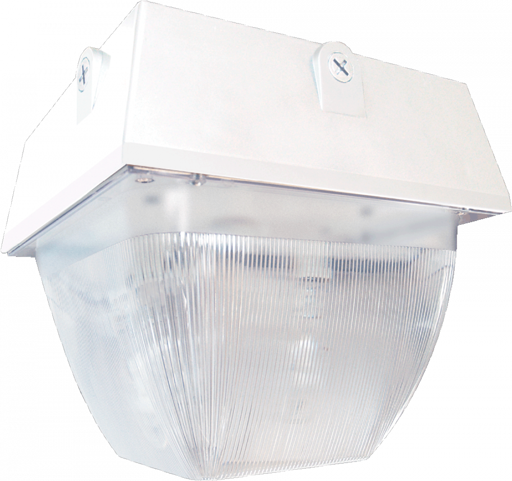 VNDLPRF 12 &#34;X12 &#34; CEILING 100 QR WH