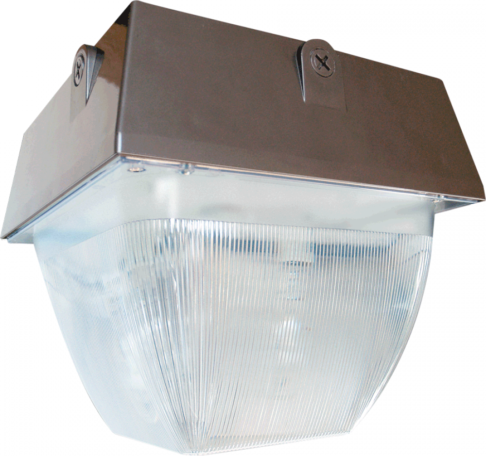 VNDLPRF 12 &#34;X12 &#34; CEILING 100