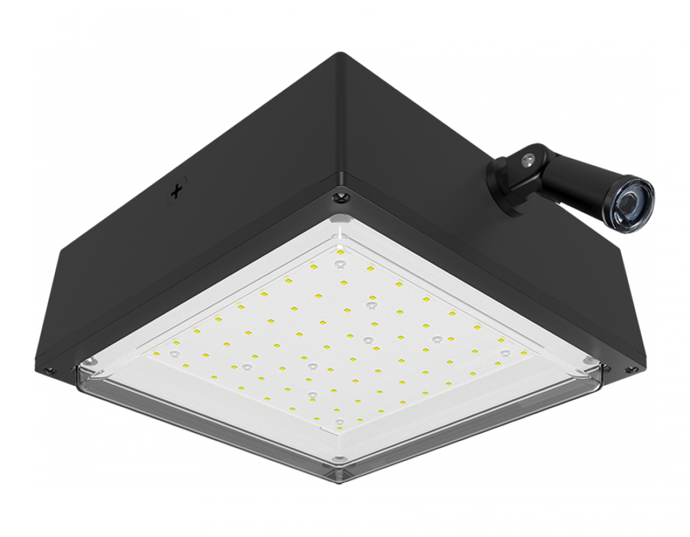 VNDLPROOF CANOPY 10W NEUT.277
