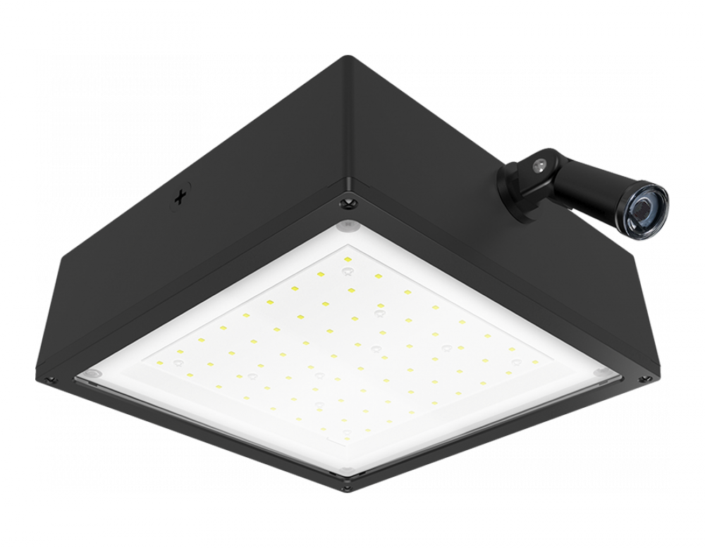 VNDLPROOF CANOPY 10W F COOL 277 PCS