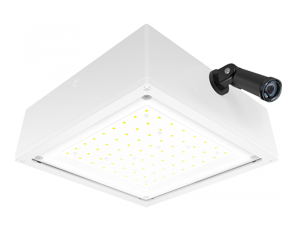 VNDLPROOF CANOPY 10W F COOL 277 PCS WH