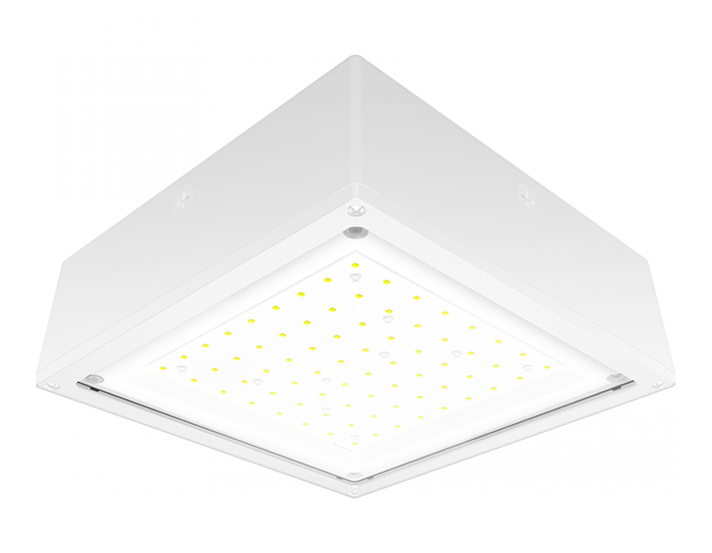 VNDLPRF CANOPY 65W COOL 120-277 F WH