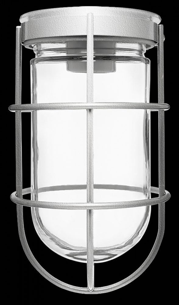 VP 100 CEILING W/ GL GLB WIRE GD