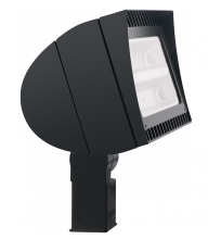 RAB Lighting FXLED125SFN/BL - FLEXFLOOD 125W NEUT. BL SLIPF