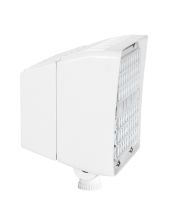 RAB Lighting PIP45W/D10/PCU - PIPFLOOD 45W 5000K  LED DIM PCU WH