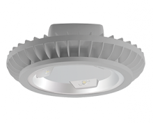 RAB Lighting HAZBLED42FG - HAZ 42W 5KLEDWALL BRKT GR FRST GR