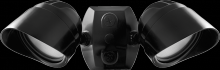 RAB Lighting BULLET2X12NB - BULLETFLD KIT 2X12W NEUT. 120 BK