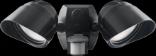 RAB Lighting SMSBULLET2X12NA - SMARTBULLET 2X12W 4K 120V W/