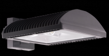 RAB Lighting WPLED4T50FX/480 - FLWALL 50W T IV 480 COOL