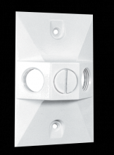 RAB Lighting R14-3W - COVER RECTANGULAR 3 HOLE WHITE