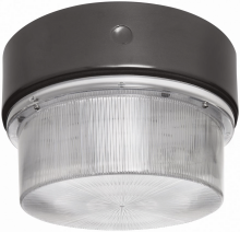 RAB Lighting VAN15HH100QT/QR - VAN 15" ROUND 100W MH QT W/QUARTZ