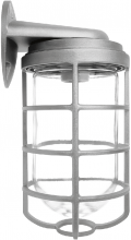 RAB Lighting VBR200S - VP 200 WALL BKT SIL W/ GL GLB