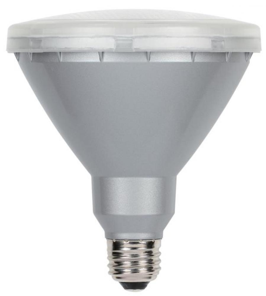 15PAR38/LED/OutdoorFL/40