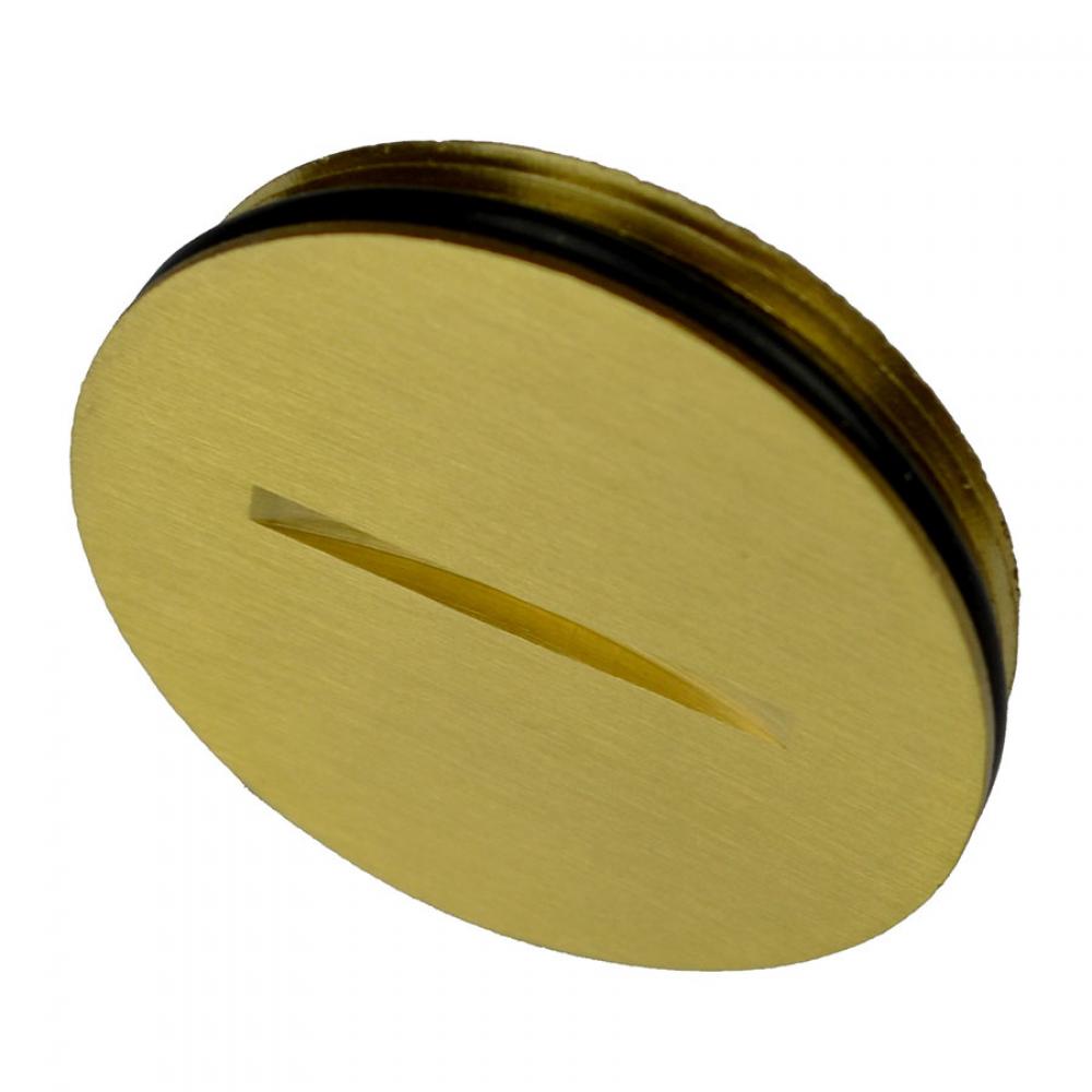 BRASS FB COVER PLUG