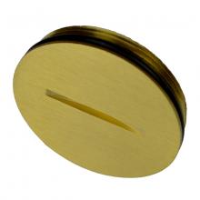 Allied Moulded Products FB-BRPLG - BRASS FB COVER PLUG
