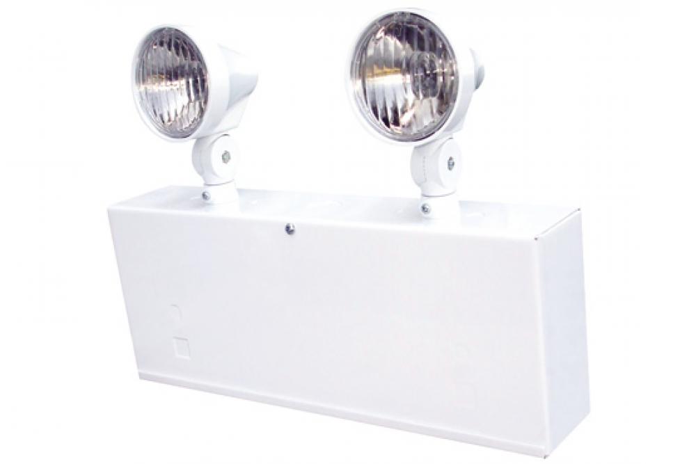 BATT.UNIT 6V 36W W/2PAR18 09WT