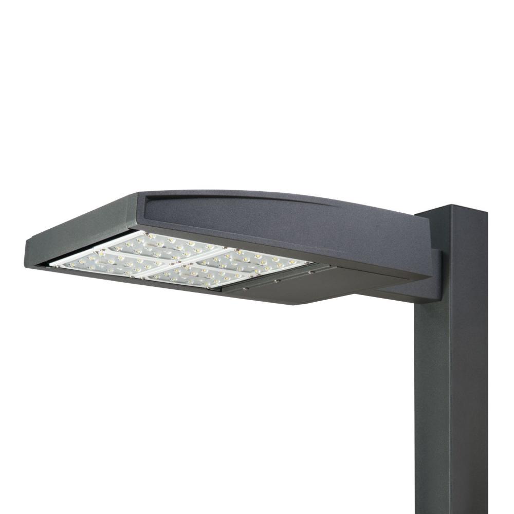 445W LED 120-277 5WQ 1A BRONZE