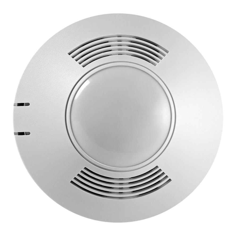 CEILING DT W/BAS 500 SQ FT