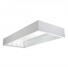 Cooper Lighting Solutions SK-24-WS - 2X4 SURFACE MOUNT 5.0" WS