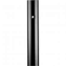Progress Lighting, a Hubbell affiliate P5390-31PC - P5390-31PC 7FT ALUM POST W/PC