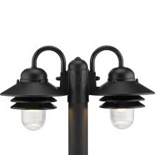 Progress Lighting, a Hubbell affiliate P5493-31 - P5493-31 2-60W MED POST LANT