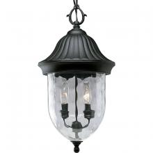 Progress Lighting, a Hubbell affiliate P5529-31 - P5529-31 2-60W CAND CH HUNG