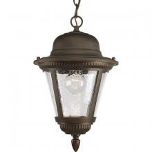 Progress Lighting, a Hubbell affiliate P5530-20 - P5530-20 1-100W MED HANGING LANTERN