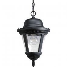 Progress Lighting, a Hubbell affiliate P5530-31 - P5530-31 CHAIN HUNG LANTERN 1-100W MED