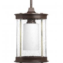 Progress Lighting, a Hubbell affiliate P5564-20 - P5564-20 1-100W MED HANGING LANTERN