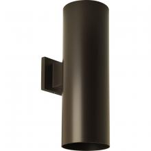 Progress Lighting, a Hubbell affiliate P5642-20 - P5642-20 2-250W QPAR-38 OD WALL