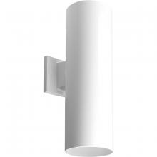 Progress Lighting, a Hubbell affiliate P5642-30 - P5642-30 2-250W QPAR-38 OD WALL