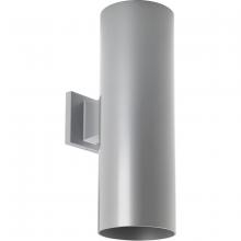 Progress Lighting, a Hubbell affiliate P5642-82 - P5642-82 2-250W QPAR-38 OD WALL