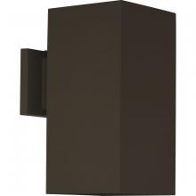 Progress Lighting, a Hubbell affiliate P5643-20 - P5643-20 1-250W QPAR-38 OD WALL